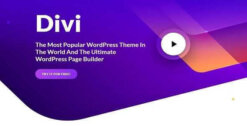 Divi-Theme-W3Templates