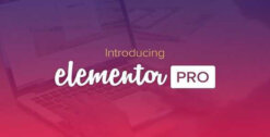 Elementor-Pro-Page-Builder-W3Templates