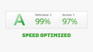 ZoomX Speed Optimized