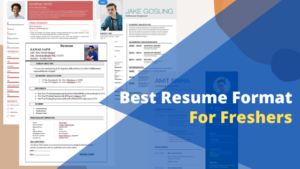 Best Resume Format For Freshers