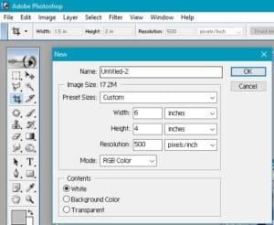 How To Make Passport Size Photo