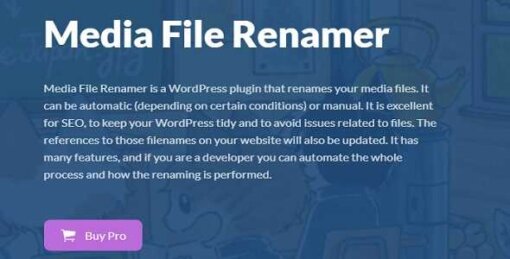 Media File Renamer Pro
